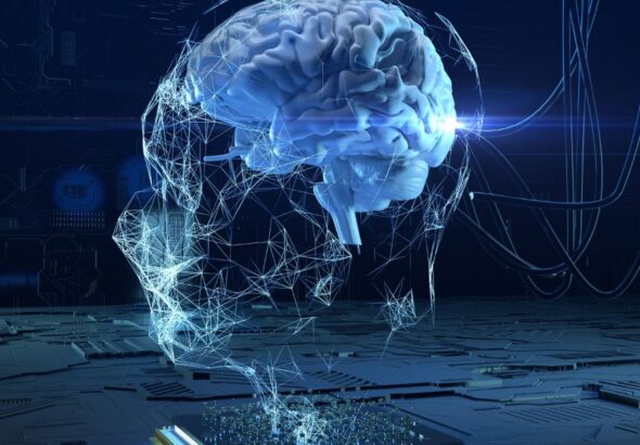 Untitled design (13)