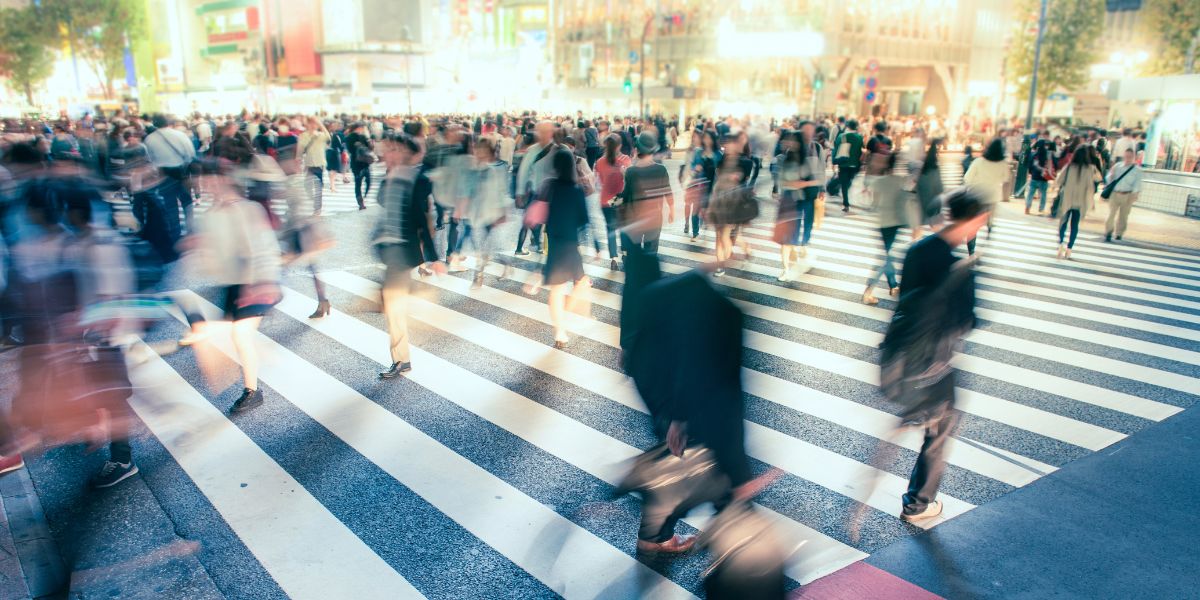 Untitled design (16)